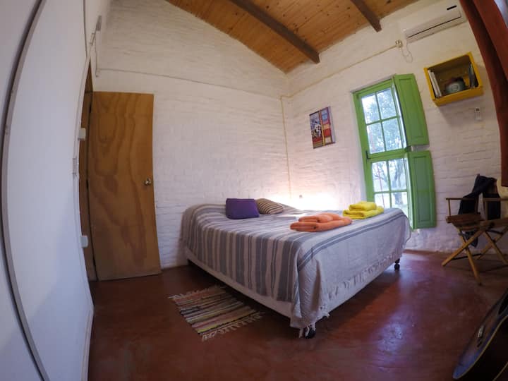 Soba 1. Gray pogled.