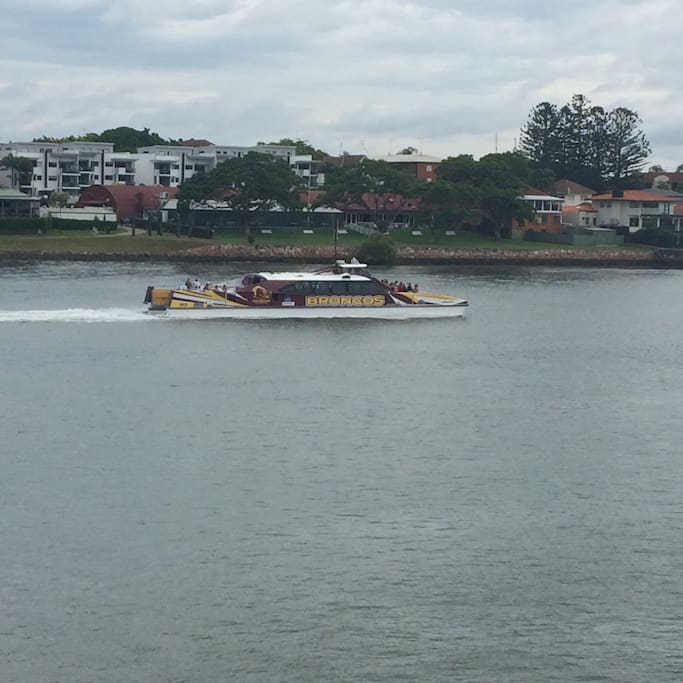 Citycat and ferry at your door