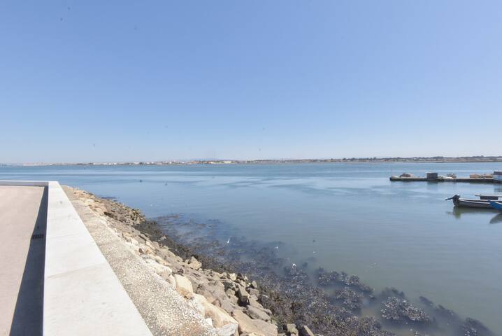 Casa Golfinho (Norte) - Costa Nova