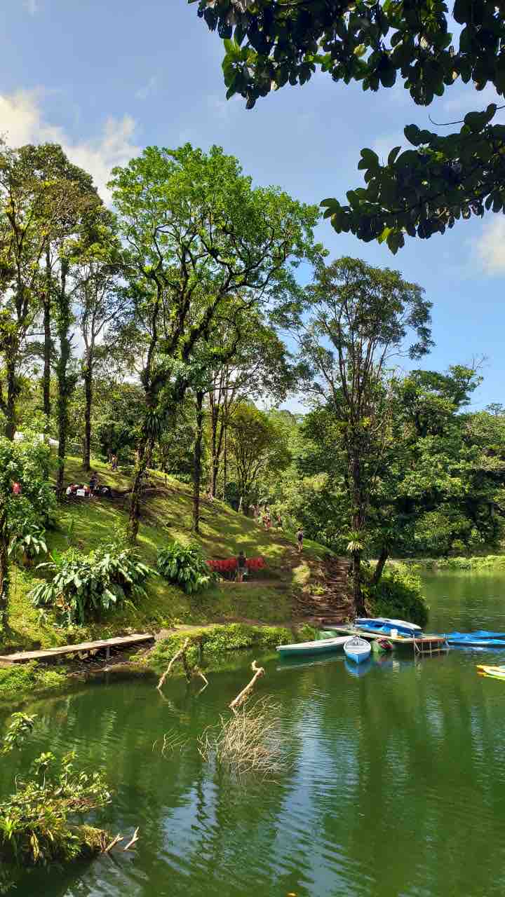 A serene natural landscape is depicted, featuring a calm body of water surrounded by lush green trees. Kayaks are anchored along the water's edge, and several people can be seen enjoying the outdoors on the grassy hillside.