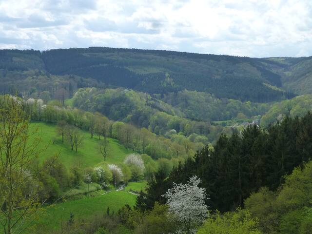 Chambre de charme. Vue imprenable sur la Vesdre