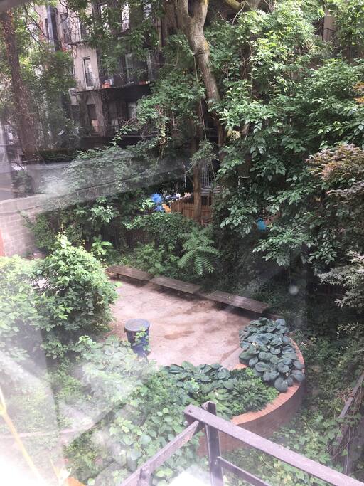 Back garden, beautiful and so quiet!