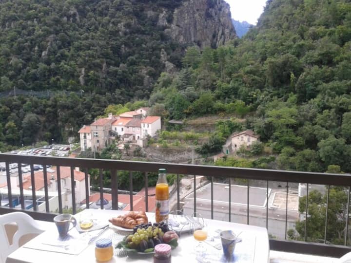 Classé 3*.expo Sud.50 M Des Thermes .Wifi. Parking - Amélie-les-Bains-Palalda