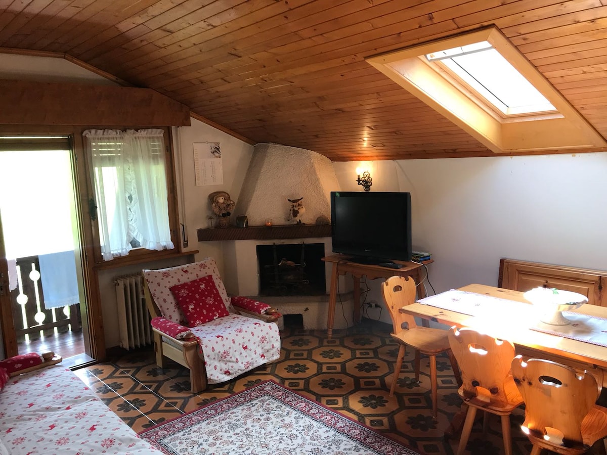 Proprietà Airbnb di successo: Attic in San Vito di Cadore a San Vito Di Cadore
