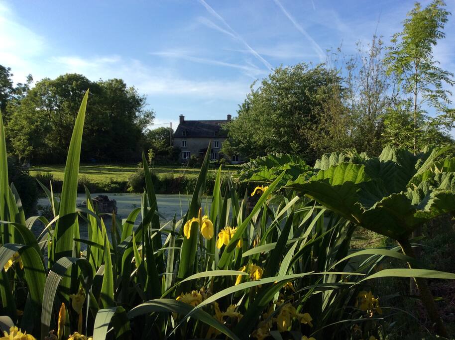La maison vue du plan d'eau.