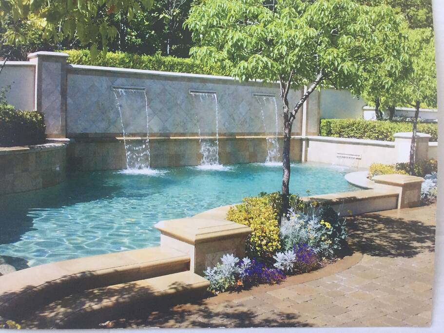 Our private pool and jacuzzi in our backyard that is fenced and with complete privacy.