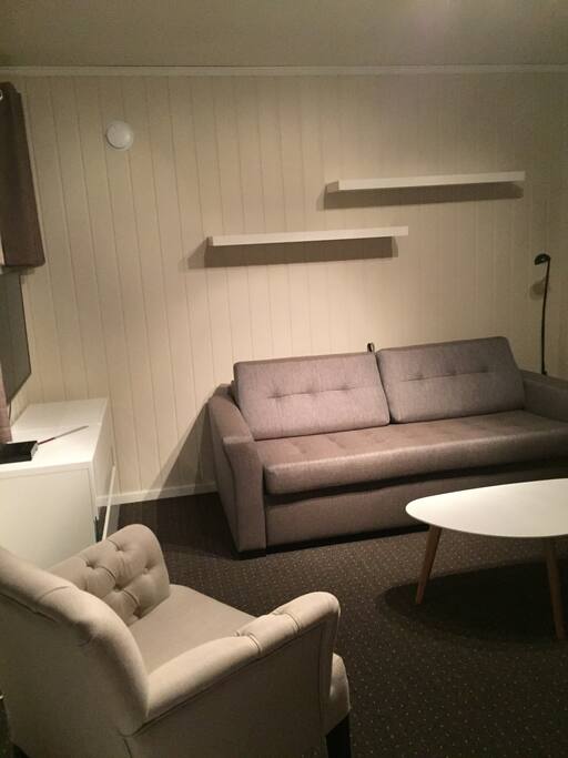 Living room with sofa bed