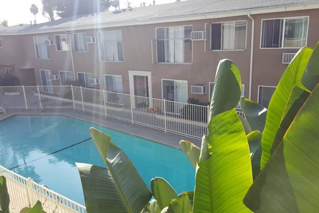 Communal pool