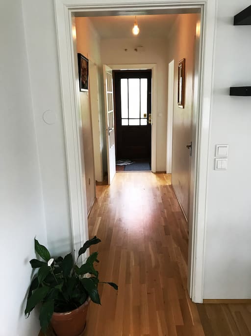 the hallway