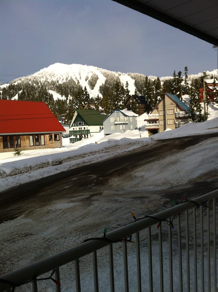 Mount Washington Vacation Rentals & Homes British Columbia, Canada