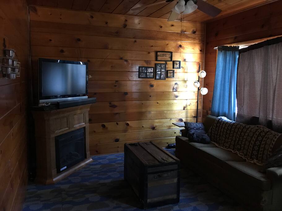 Living room with pull out bed