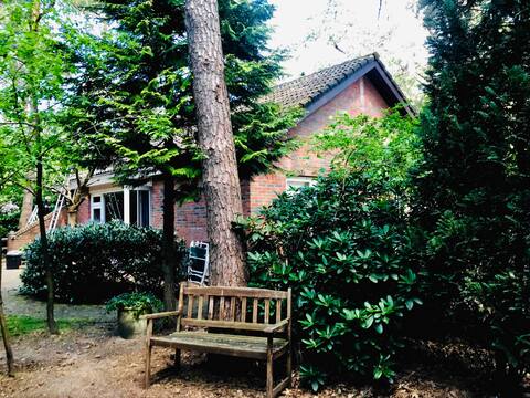 The Cabin in the Woods - Veluwe