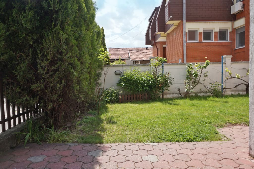 Front yard