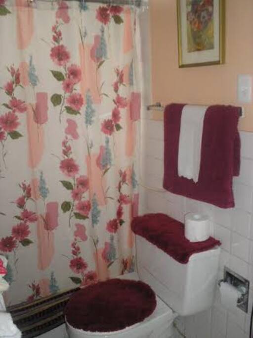 baño compartido de buen tamaño