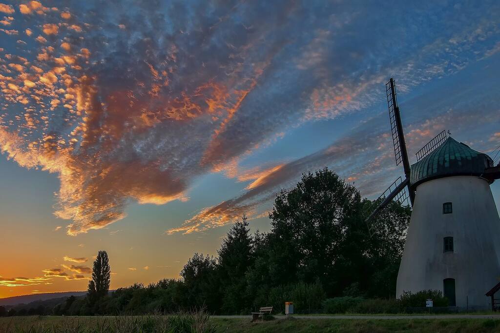 Landschaft