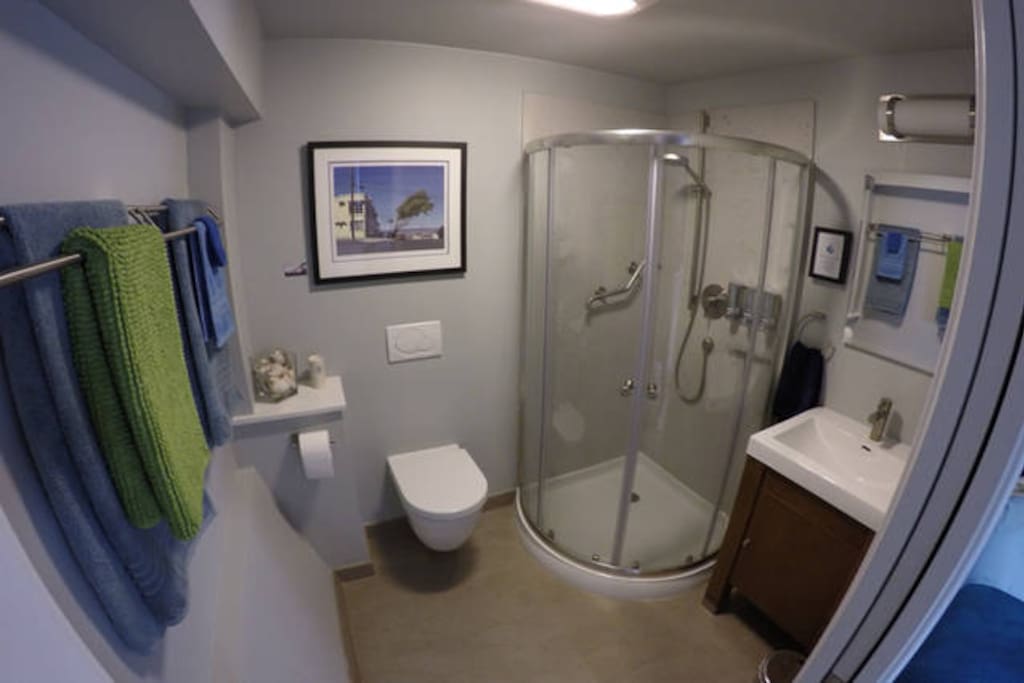 Your modern luxurious restroom...