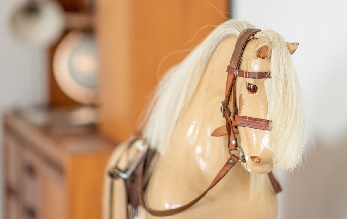 Top Airbnb: The Horse House, perfect for pups and you in East Devon