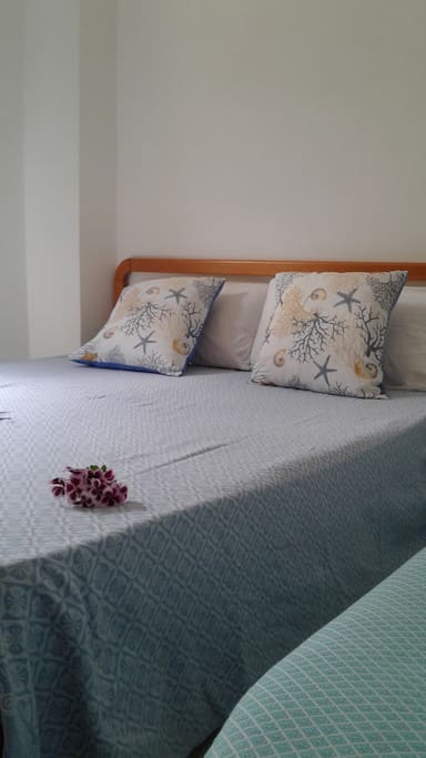 Camera da letto matrimoniale + letto singolo