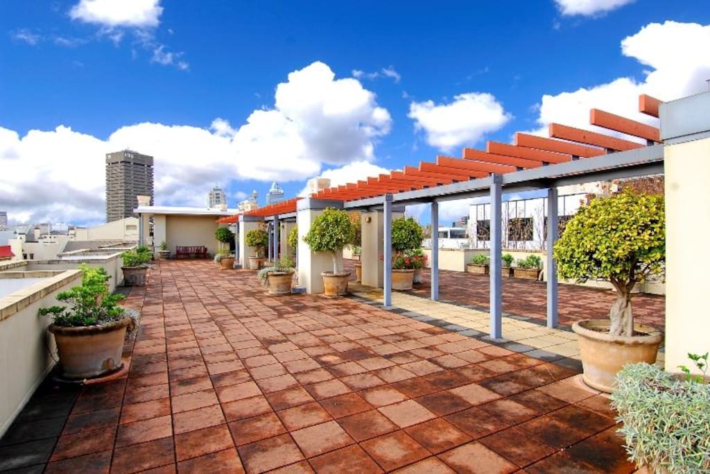 Roof top garden