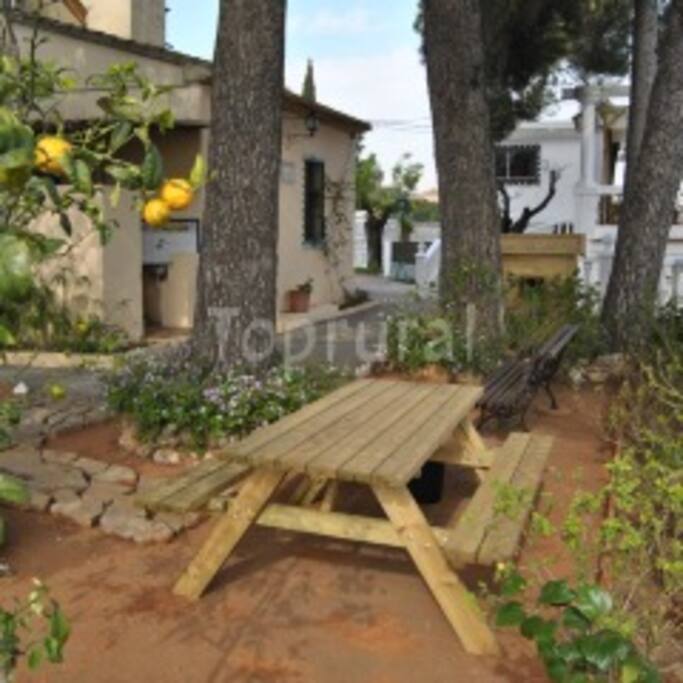 Zona picnic