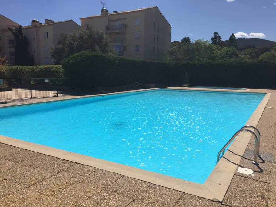 Swimming pool at residence