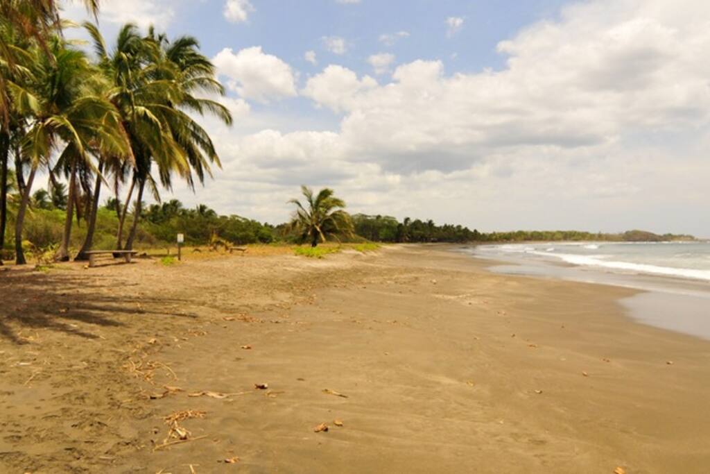Playa Junquillal de Guanacaste, Costa Rica. Amplia y serena playa, con sombra y espacios para sentarse. Parque de Niños casi sobre la playa y también un resguardo para proteger a las tortugas marinas.