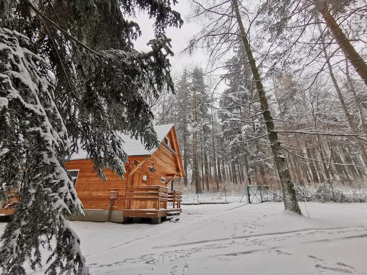 Strzelin Vacation Rentals & Homes Lower Silesian Voivodeship, Poland