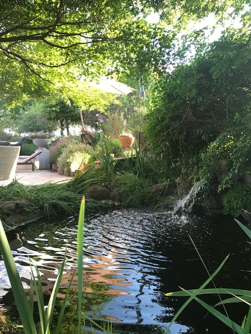 A large pond with a cascading waterfall under several different varieties of Japanese Maples.