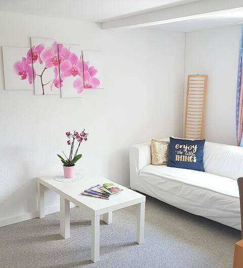 Family Mountain View Apartment - Upper Alley