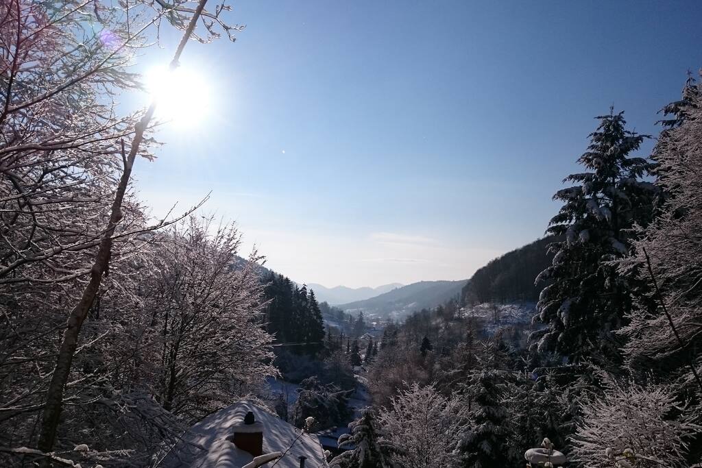 Wandern pfalz single