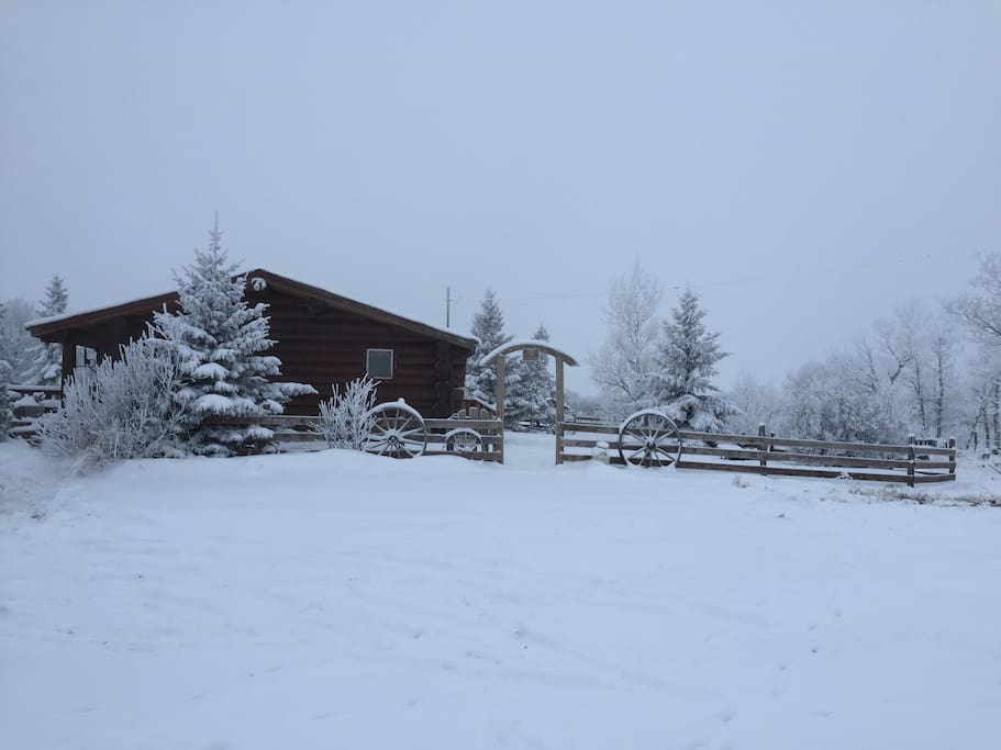 Log cabin in the woods