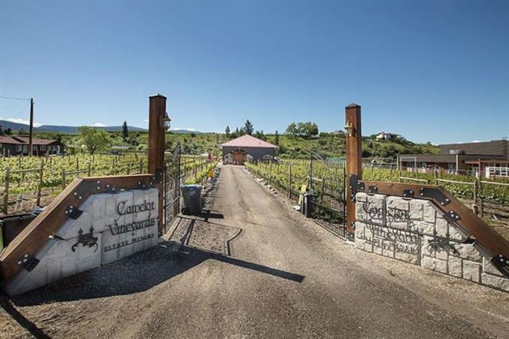 Main drive on to property