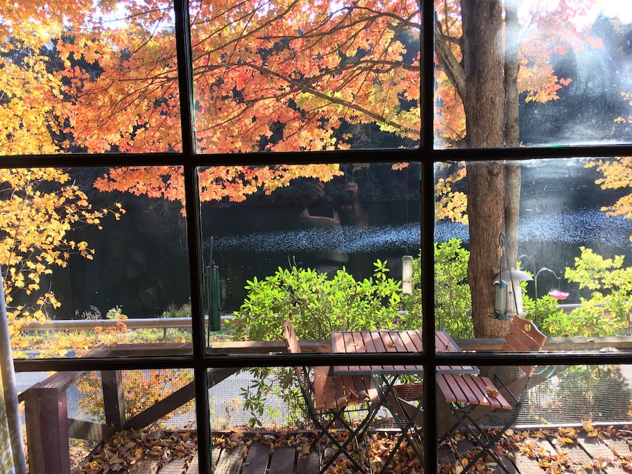 View from living room window