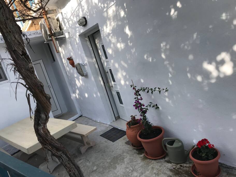 entrance - garden