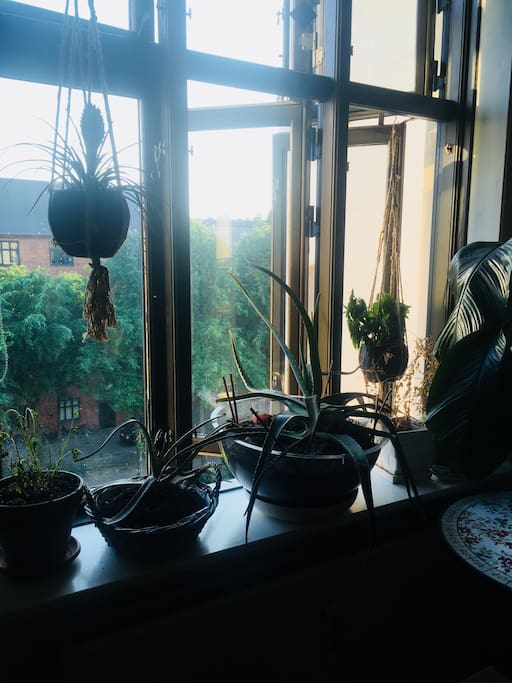 Livingroom