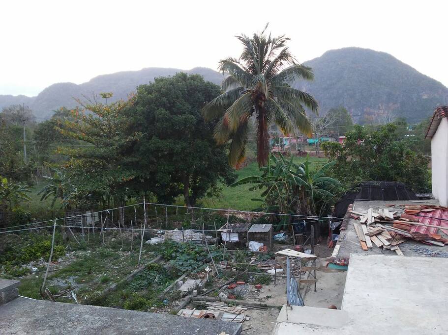 vista desde la habitacion