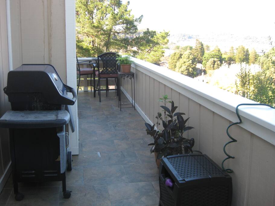 Gas Grill