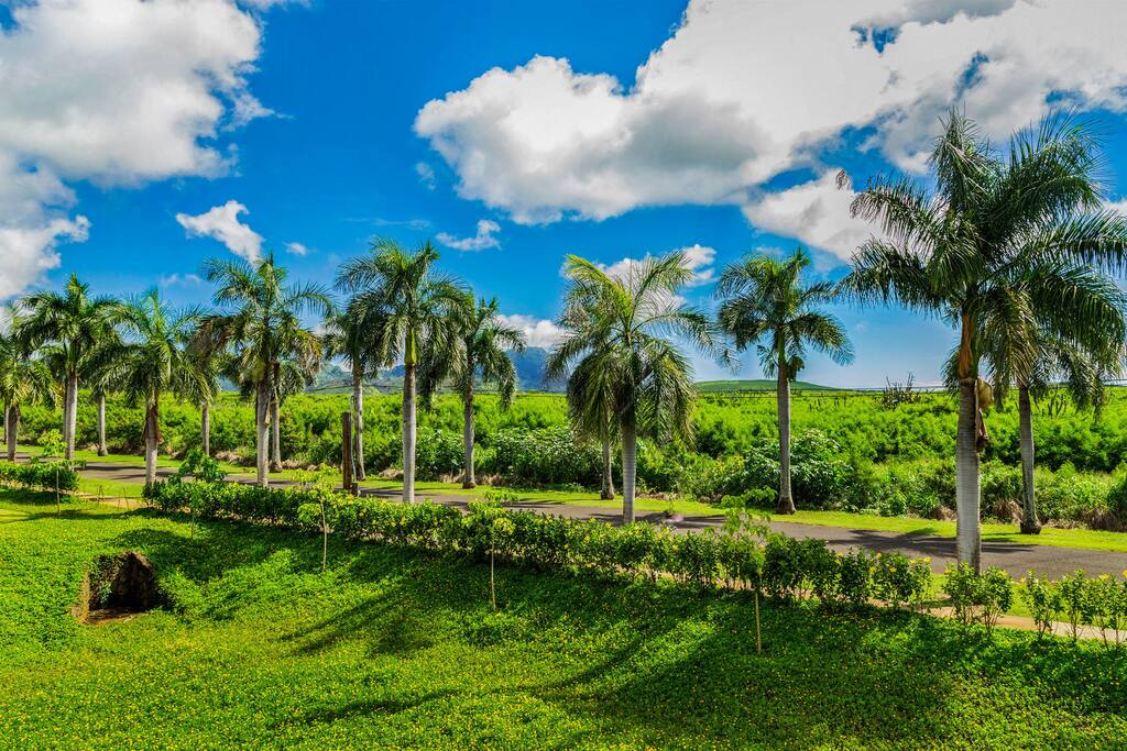 Pili Mai 1-E Mountain View