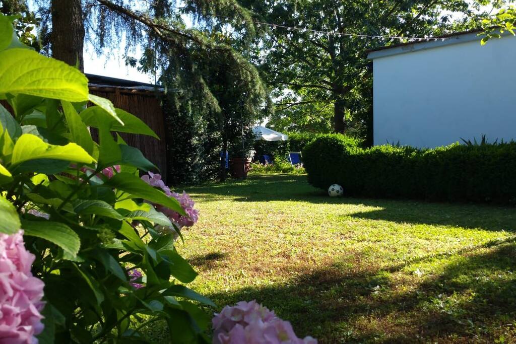 Parte del giardino con rete di pallavolo