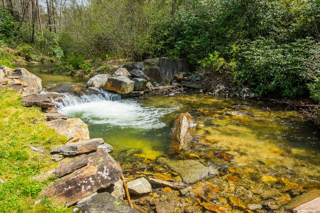 "House Pool" feet from the cabin. Trout are in this river.
