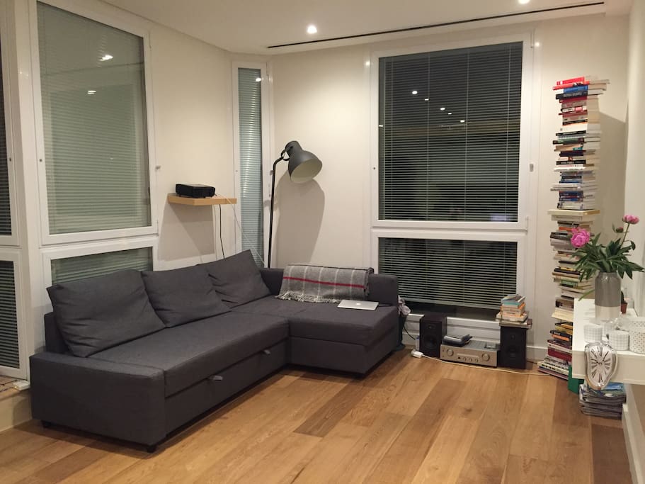 Living room & kitchen (sofabed - for 2)