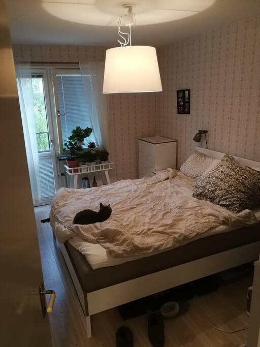 160cm bed