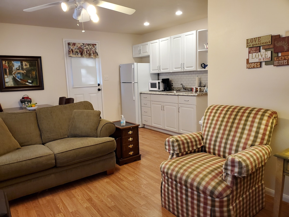 A cozy living space features a plush green sofa and a checkered armchair. A wooden coffee table sits nearby, while a modern kitchen with white cabinets and stainless steel appliances is visible in the background. Natural light filters through a window adorned with decorative curtains.