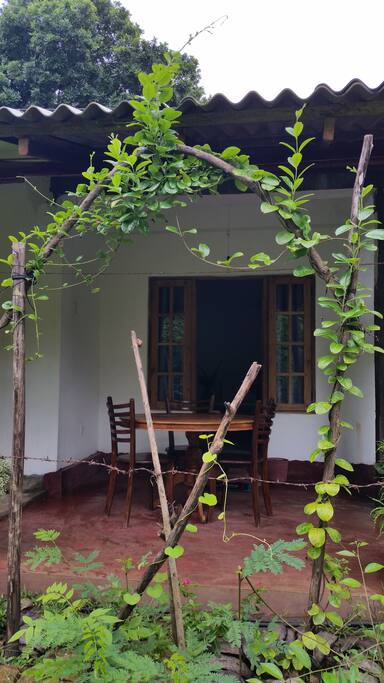 Flower arch to the veranda