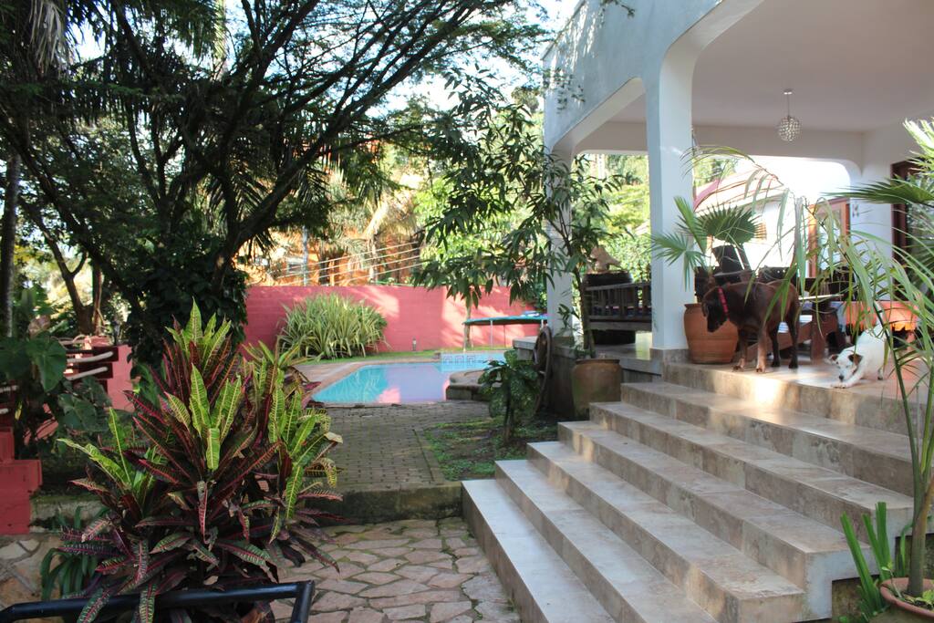 Pool & Garden