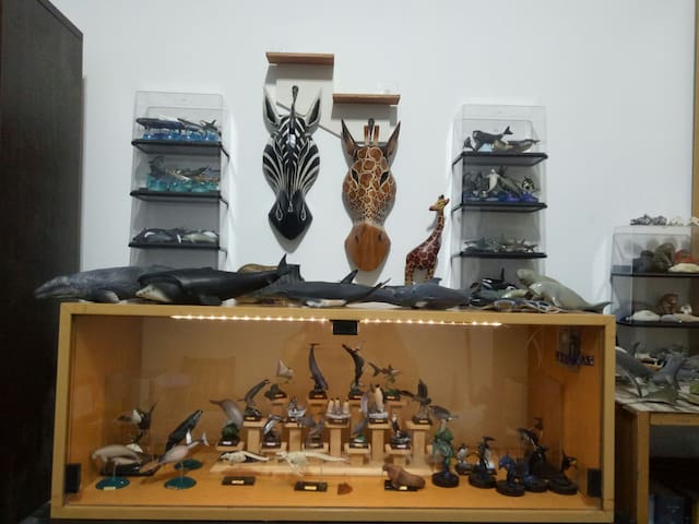 Best offer in Hsinchu! Cute animal home, near Tsinghua University, welcome cycling around the island knights and fun people