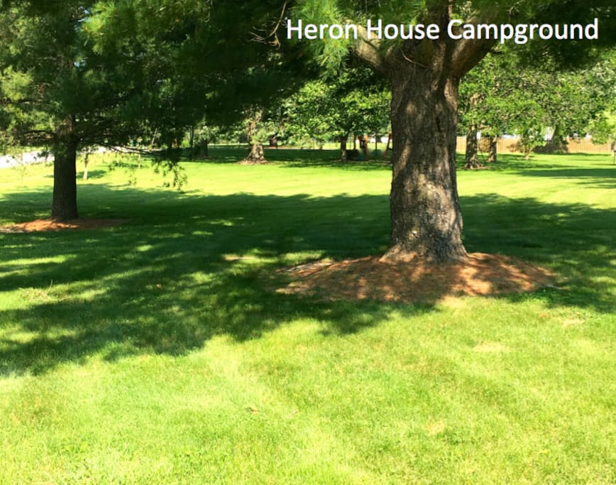 Nature's harmony lives on the breath of night in these trees--coyotes, bobcats, frogs, foxes, owls, hawks, and if you're lucky, you may hear a panther scream.