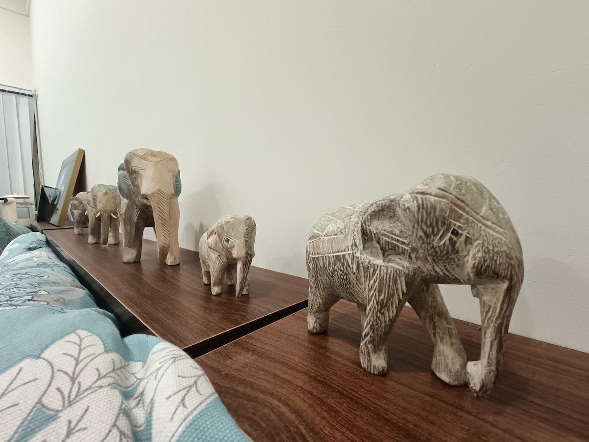 A series of wooden elephant sculptures are arranged in a line on a wooden surface. Each elephant varies slightly in size and detail, offering a decorative touch to the space. The backdrop features a plain wall, emphasizing the sculptures.