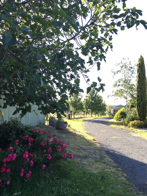 outside the cottage with ample parking space