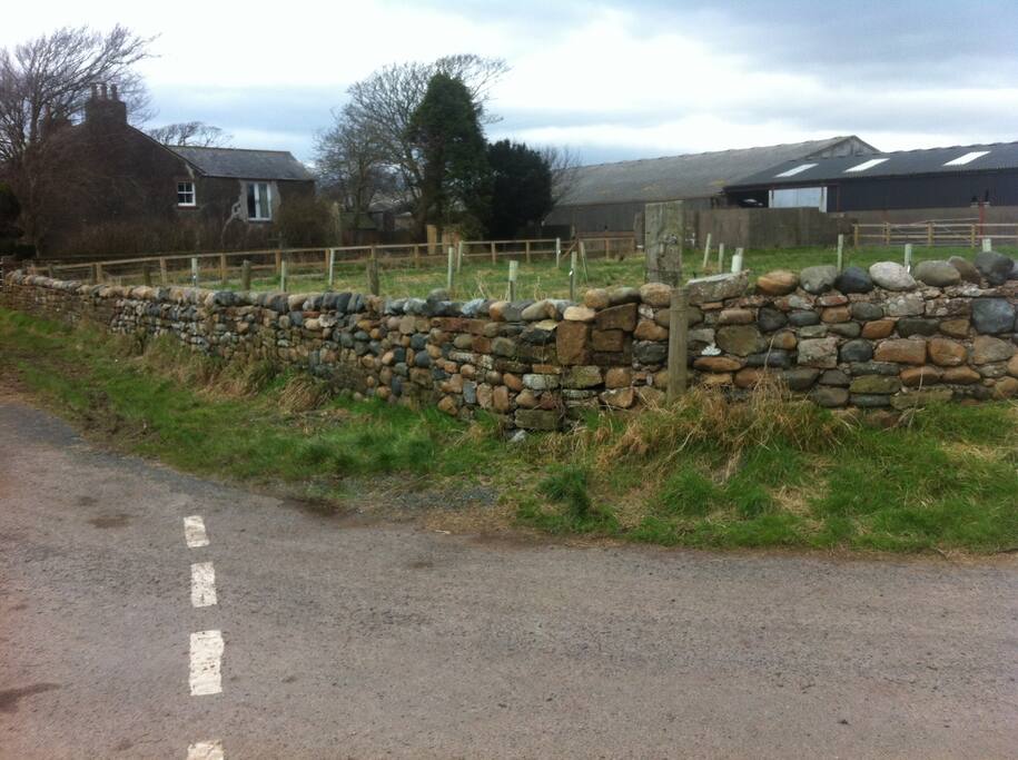 Hall Carlton Farm is a 175 acre working farm